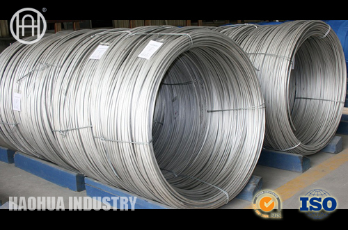 Stainless coils tubes ASTMA789 UNS31200